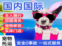 禄口机场快运国际宠物托运 【国
